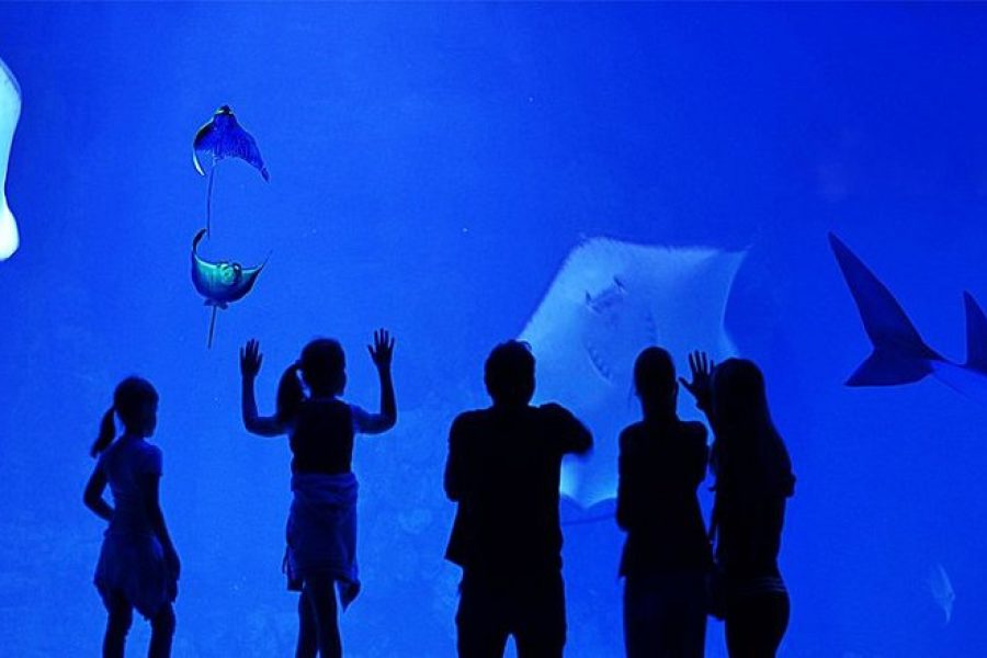 Hurghada Grand Aquarium